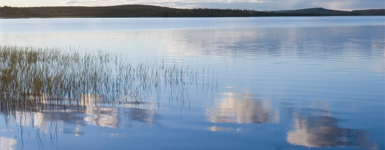 background2